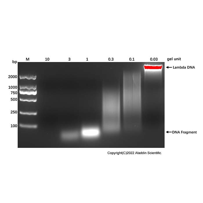 微球菌核酸酶(试剂盒) ,BioReagent,for IP,即用型,阿拉丁