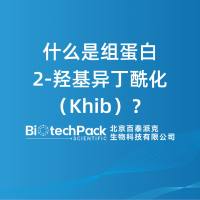 什么是组蛋白2-羟基异丁酰化（Khib）？