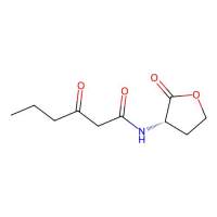 N-(3-Oxohexanoyl)-L-homoserine lactone,143537-62-6,Moligand™, 10 mM in DMSO,阿拉丁