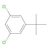 1-(Tert-butyl)-3,5-dichlorobenzene，1369899-62-6，≥95%，阿拉丁