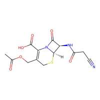 Cefacetrile,10206-21-0,Moligand™, 10 mM in DMSO,阿拉丁