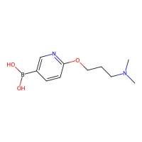 (6-(3-(Dimethylamino)propoxy)pyridin-3-yl)boronic acid,1003043-49-9,≥95%,阿拉丁