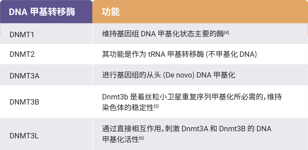 新闻图片3