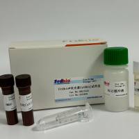 Frdbio® Fluor633荧光标记试剂盒