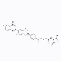 BHQ-1 琥珀酰亚胺酯 ,916753-61-2,Moligand™, ≥95%,阿拉丁
