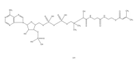 β-甲基巴豆酰基辅酶A锂盐,108347-83-7,≥90%,阿拉丁