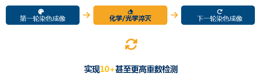 mIHC多重荧光染色方案设计