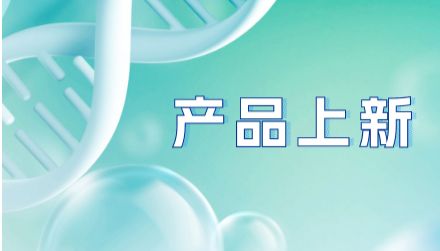 抗小鼠CD3ε 抗体 (145-2C11)：精准激活T细胞，支持免疫与肿瘤研究