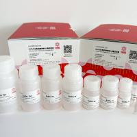 HiPURE高纯度质粒小提试剂盒