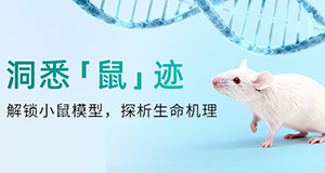 「洞悉鼠迹」小鼠答题挑战赛