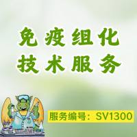 免疫组化,免疫荧光,免疫细胞化学(IHC/ICC/IF)检测服务