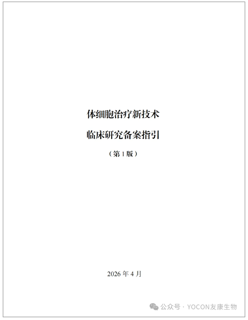 友康生物NK细胞IIT合规方案：无血清/无滋养层+自动化工艺，直通818号令备案要求