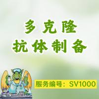 多克隆抗体制备,多抗定制