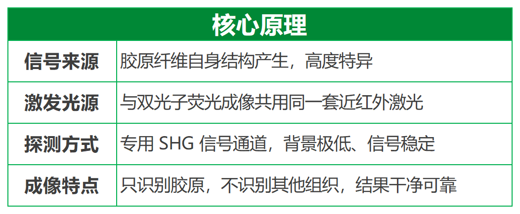 1111_綠.png
