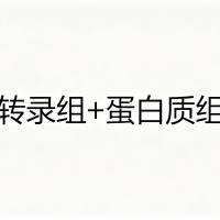 转录组+蛋白质组