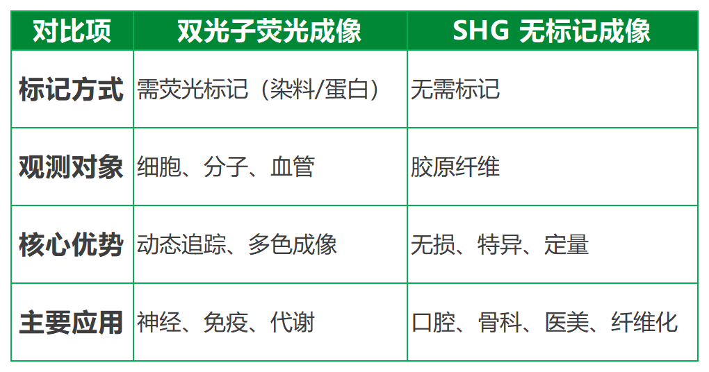 1111_綠(2).png