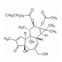 佛波醇12-十四酸酯13-乙酸酯(PMA),16561-29-8,Moligand™, ≥98%,阿拉丁