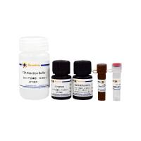BeyoTSA™酪酰胺信号放大试剂盒(Tyramide-680)