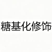 糖基化修饰代谢组学