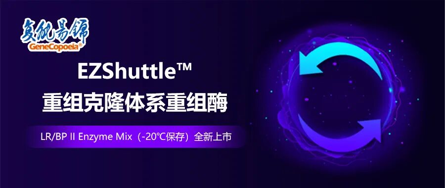 全新上市 | 与 Gateway®完全兼容的LR/BP II Enzyme Mix（-20℃保存）
