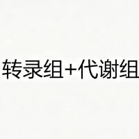转录组+代谢组