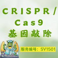 CRISPR/Cas9基因敲除技术服务