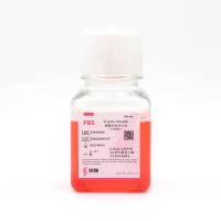 0.25%胰蛋白酶消化液(溶于PBS,不含EDTA,含酚红)