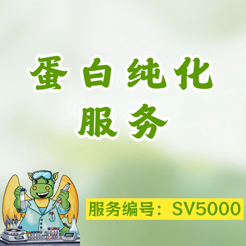 抗原抗体纯化，亲和层析纯化，制备亲和层析柱