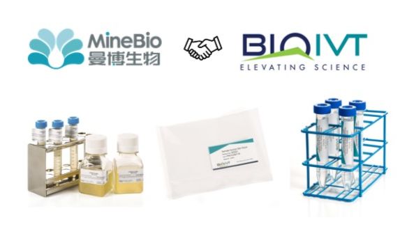 BioIVT人源生物样本与生物体液｜曼博生物官方供应