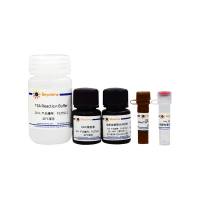 BeyoTSA™酪酰胺信号放大试剂盒(Tyramide-350)