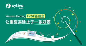 PVDF 新膜法——让重复实验止于一张好膜
