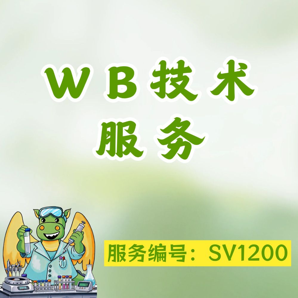 蛋白免疫印记(Western Blotting)检测服务