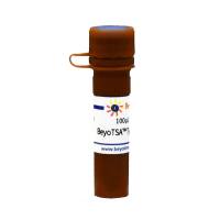 BeyoTSA™ Tyramide-Biotin (200X)