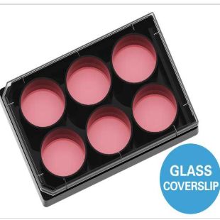 ibidi µ-Plate 6 Well Glass Bottom高通量成像玻璃底6孔培养板 80637