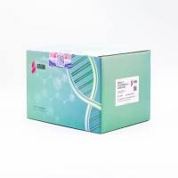 细胞活力(活死细胞染色)检测试剂盒 (Calcein AM,PI法,适用于FACS、FM)