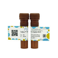 UltraBio™ 绿色荧光DNA Marker染料,BioReagent, 适用于电泳, 分子生物学级, 用于核酸电泳, 50×,阿拉丁