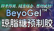 琼脂糖预制胶｜即开即用的快乐胶