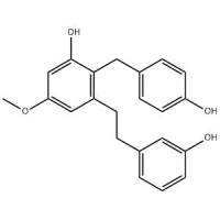 Isoarundinin II