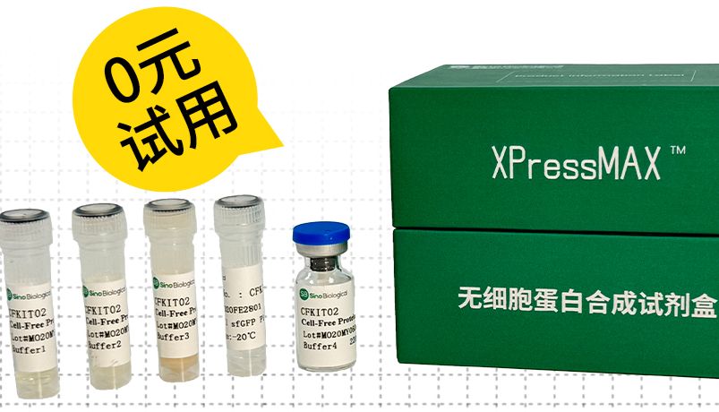 XPressMAX™无细胞蛋白合成试剂盒