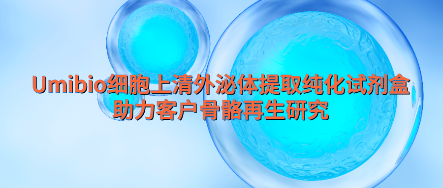 新闻图片1