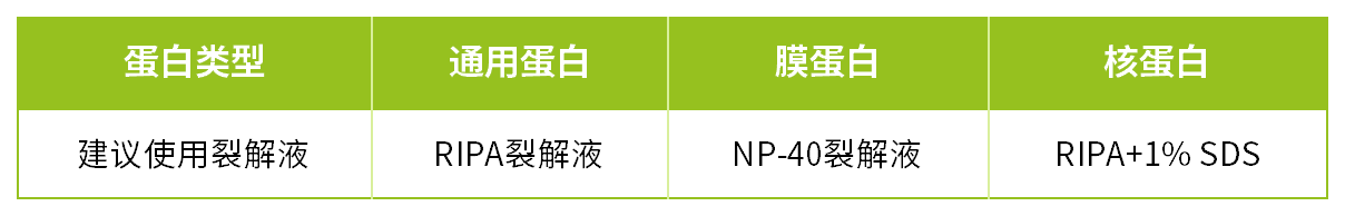 新闻图片2