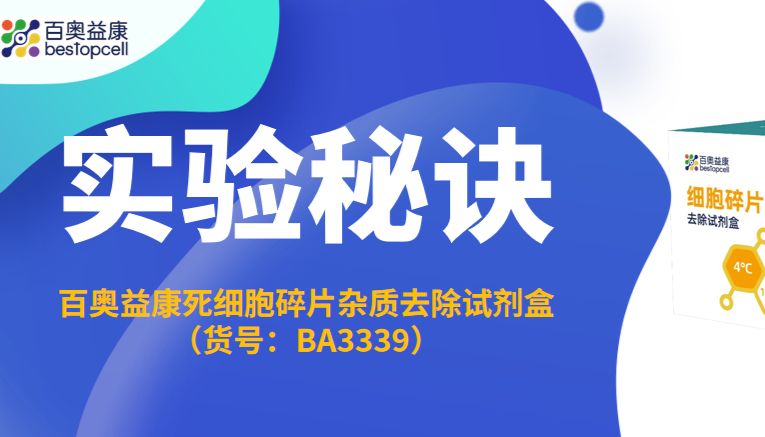 实验秘诀 | BA3339 死细胞碎片去除试剂盒，4 步搞定高纯度单细胞悬液