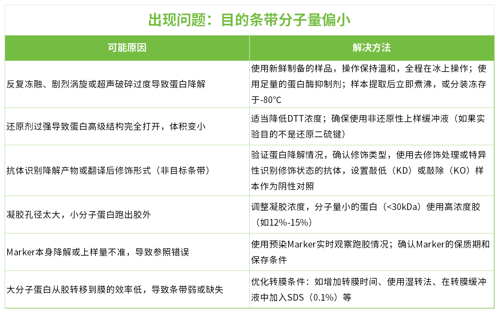 新闻图片12