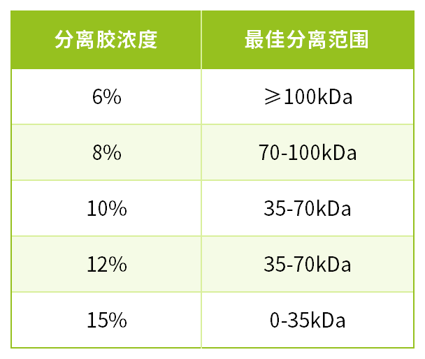 新闻图片4