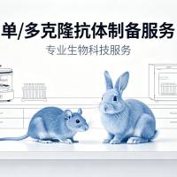 多/单克隆抗体制备（免疫小鼠或兔）