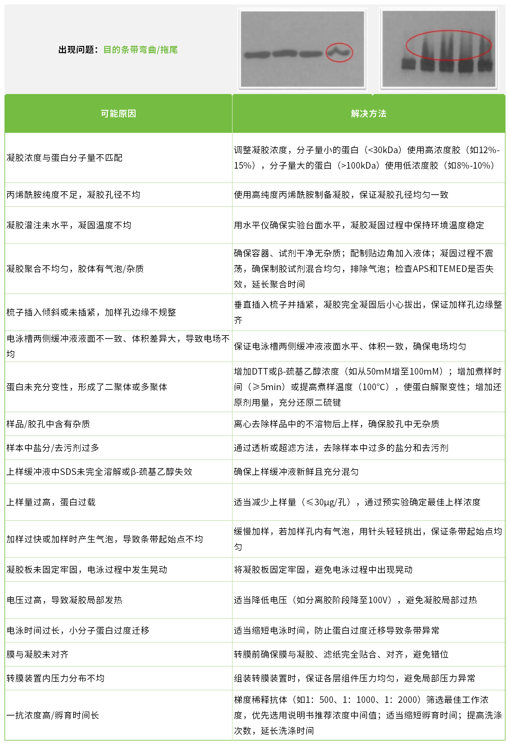 新闻图片9