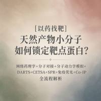 【以药找靶】天然产物小分子如何锁定靶点蛋白？网络药理学+分子对接+分子动力学模拟+DARTS+CETSA+SPR+免疫荧光+Co-IP全流程解析
