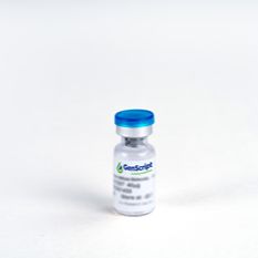 THE™ c-Myc Antibody [HRP], mAb, Mouse产品图