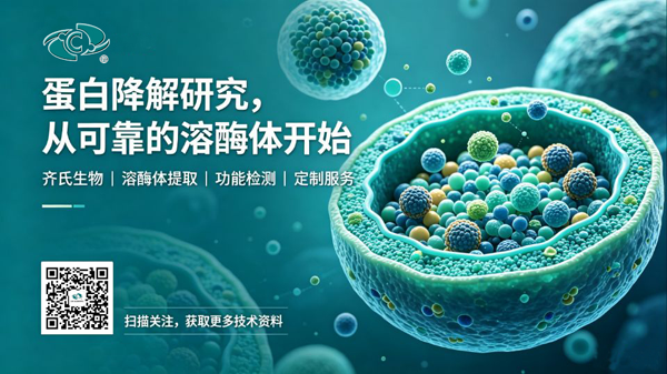 齐研 2-5.png 齐研 2-5.png