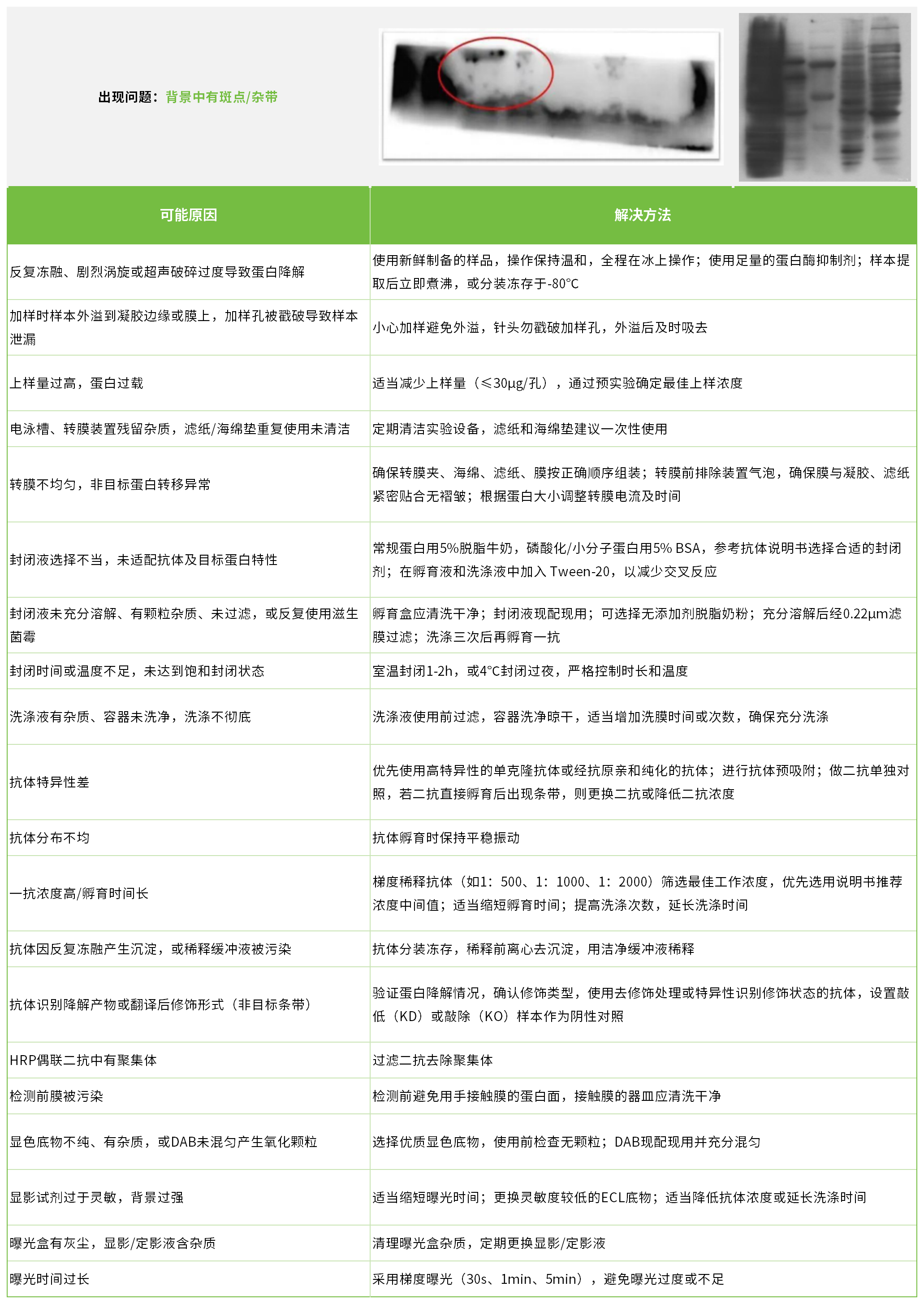 新闻图片5
